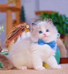 朱一龙值得一看